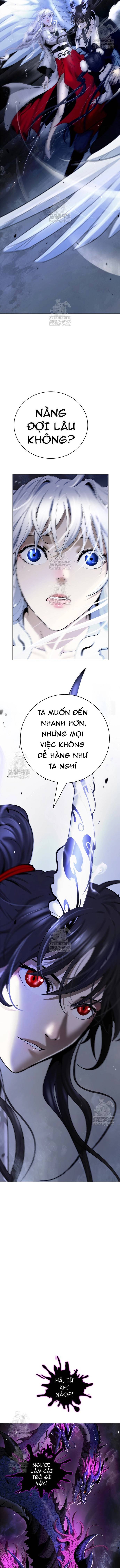 Chapter 223 - Trang 2