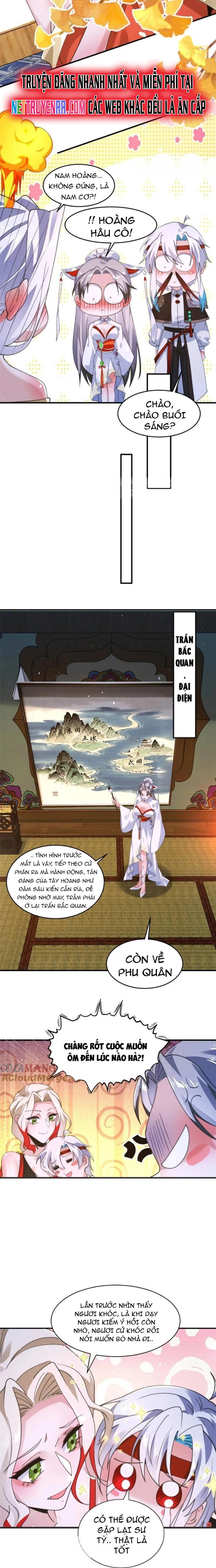 Chapter 247 - Trang 1