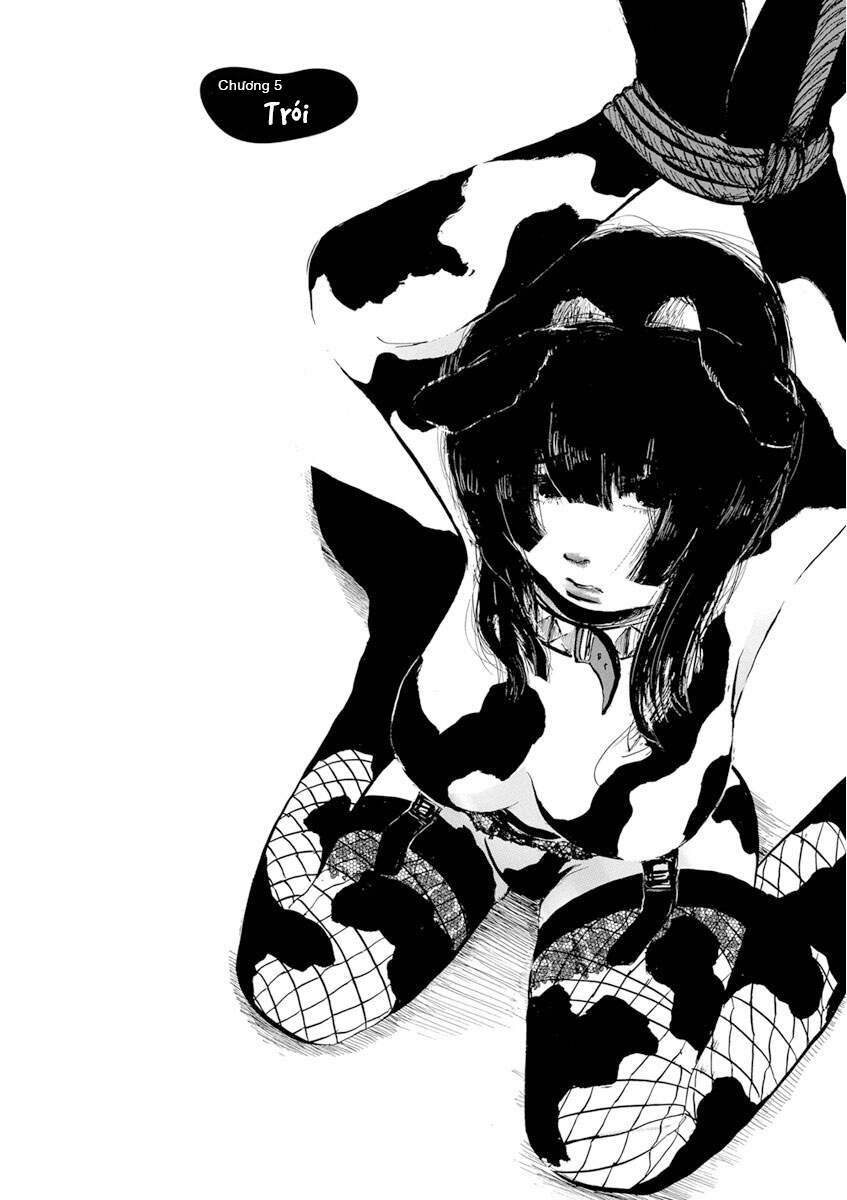 Chapter 5 - Trang 2