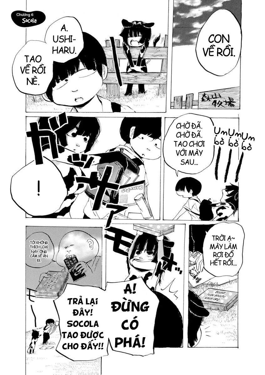 Chapter 6 - Trang 1