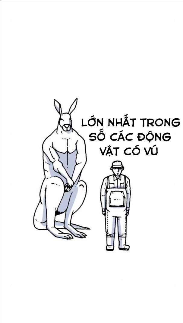 Chương 10 - Trang 2