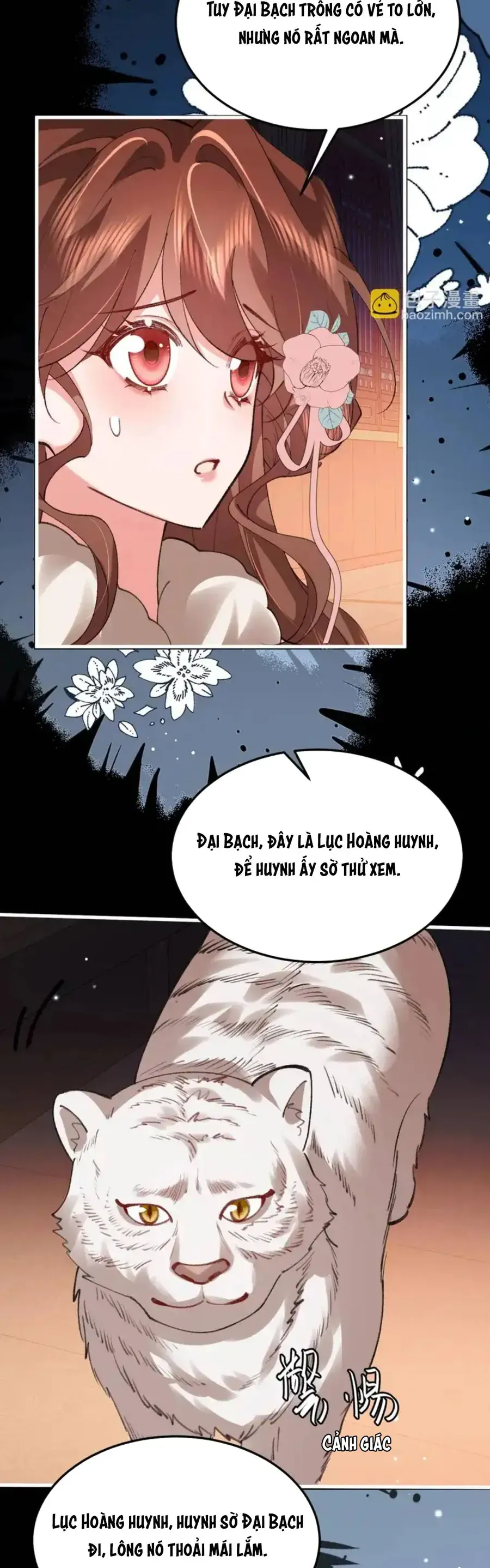Chương 404 - Trang 2