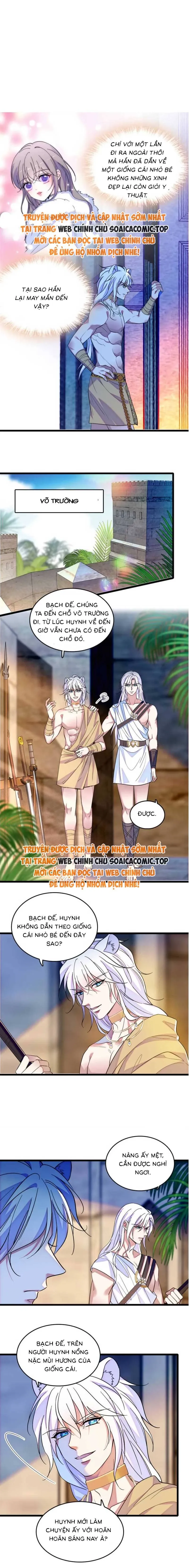 Chương 162 - Trang 1