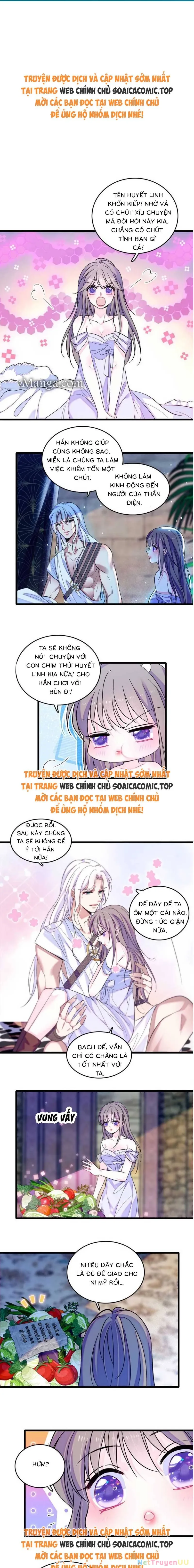 Chương 169 - Trang 1
