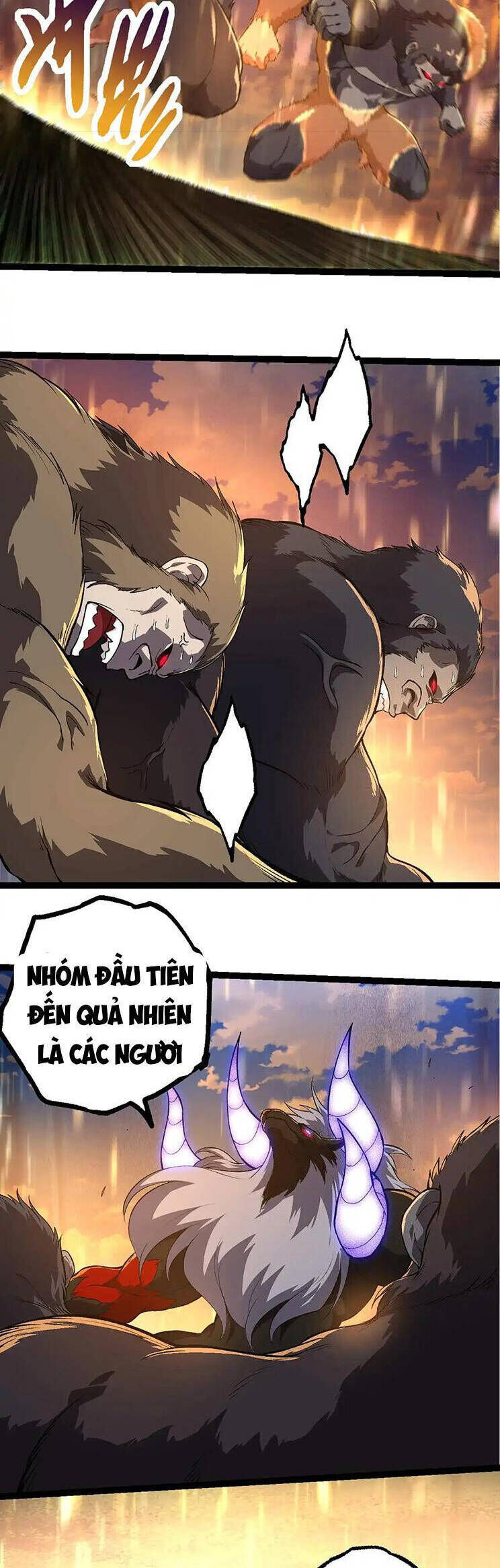 Chương 264 - Trang 1