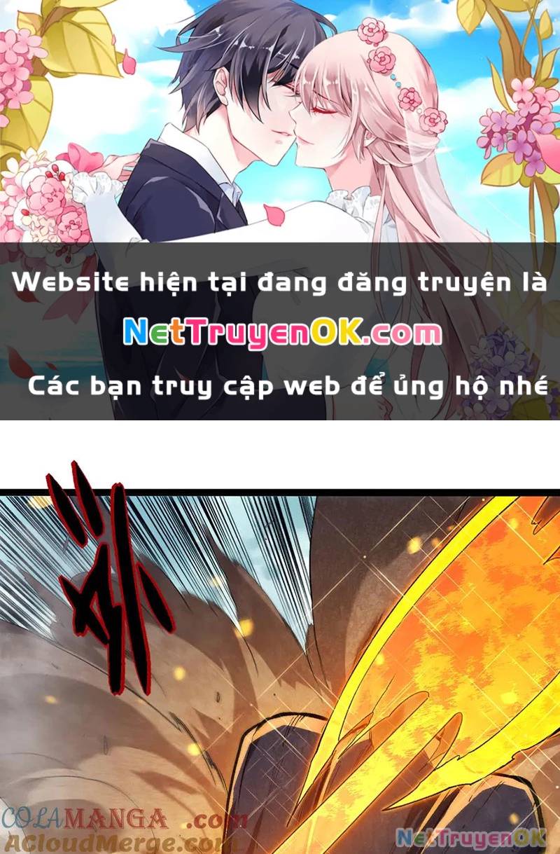 Chương 305 - Trang 1