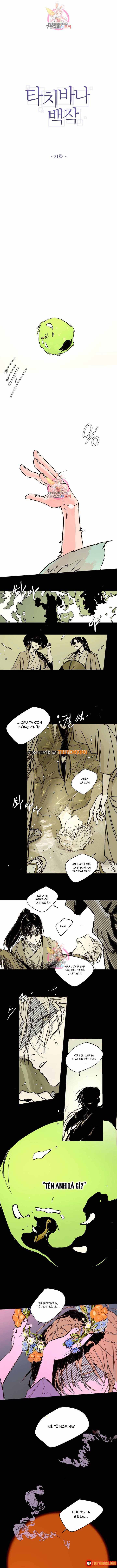 Chương 21 - Trang 1