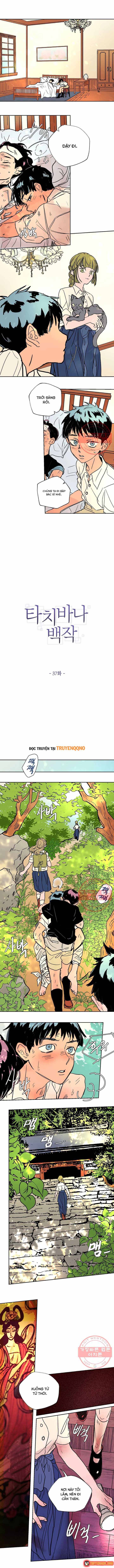 Chương 37 - Trang 1